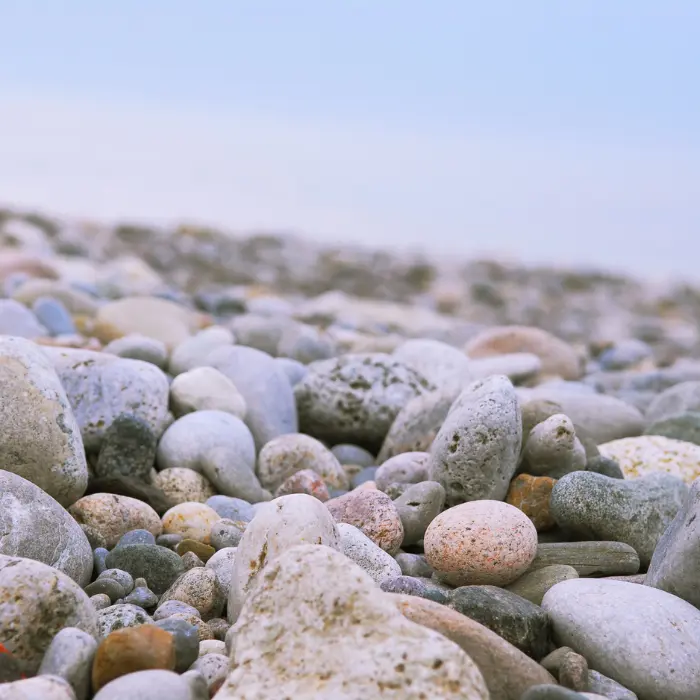 Various Beaches